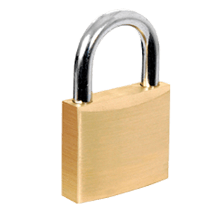 LOCK DISPLAY LARGE 50MM 6ct