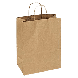 PAPER SHOPPING BAG 10X5"13" 250 ct