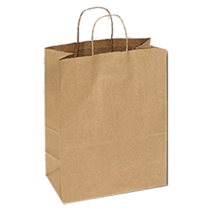 PAPER SHOPPING BAG 13X7"X17" 250 ct