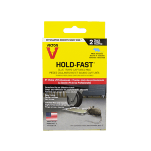 RAT GLUE TRAPS 24 ct