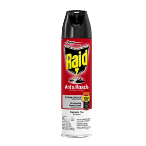 ANT & ROACH KILLER FRAGRANCE FREE 17.5 oz