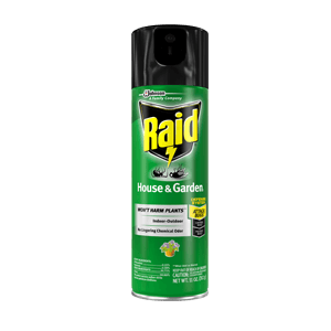 ANT KILLER PINE FOREST FRESH 17.5 oz
