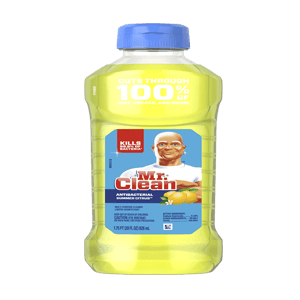 ALL PURPOSE CELANER SUMMER CITRUS 9/28oz