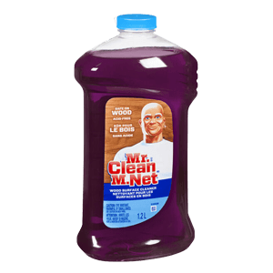 ALL PURPOSE CLEANER WOOD 9/28 oz