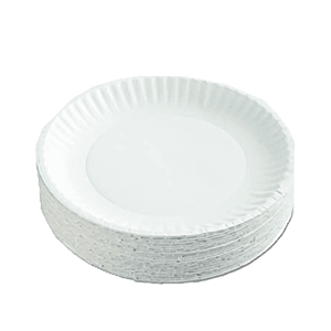 9" PAPER PLATE 10/100 ct