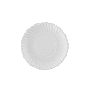 9" PAPER PLATE 24/48 ct
