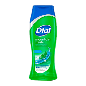 BODY WASH MOUNTAIN FRESH 16 oz