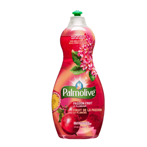 DISH WASH PASSION FRUIT 12/25 oz