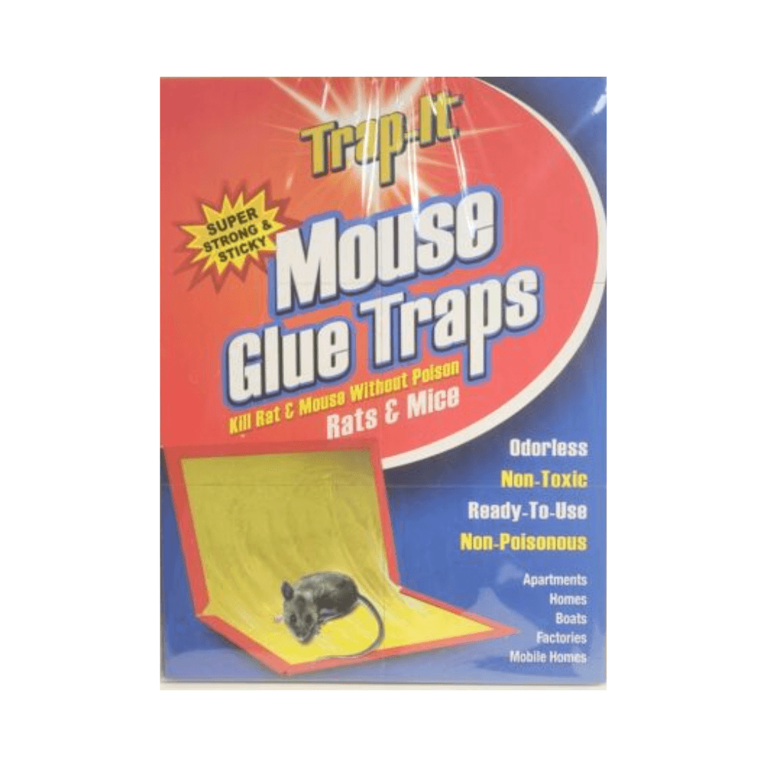 SUPER ADHESIVE MOUSE GLUE TRAPS 2 pk