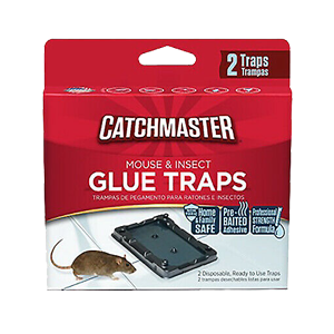 GLUE BOARD MOUSE & INSECT FLAT 36/ 2 pk