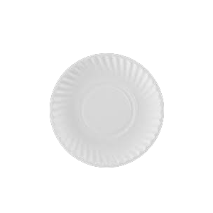 9" PAPER PLATE 24/48 ct