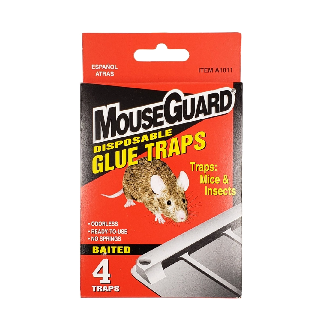 MOUSE TRAP SMALL 4CT